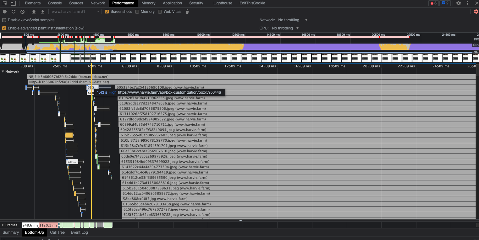 waterfall of image requests in the dev console network tab